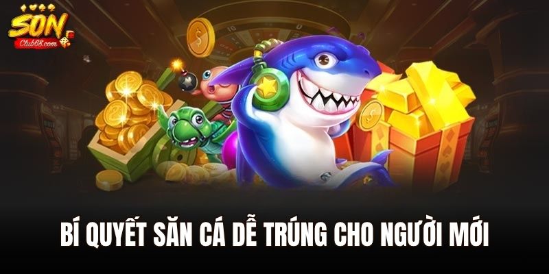 Bắn cá đổi thẻ cào - Siêu Phẩm Giải Trí Hot Hit Nhất Năm 2025 3 Bí quyết săn cá dễ trúng cho người mới