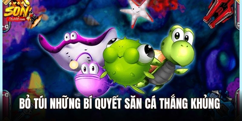 Bỏ túi những bí quyết săn cá thắng khủng tại Sonclub