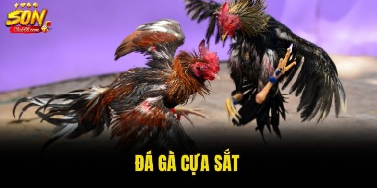 đá gà cựa sắt