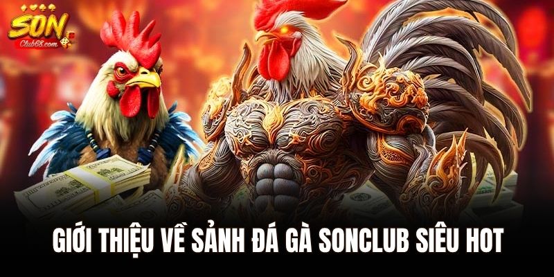 Giới thiệu về sảnh đá gà Sonclub siêu hot