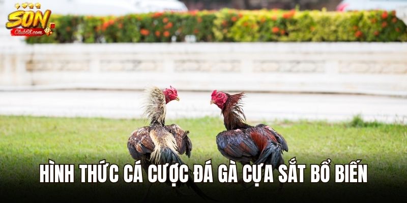 Đá Gà Cựa Sắt – Chiêm Ngưỡng Những Màn Đối Đầu Nảy Lửa 3 Hình thức cá cược đá gà cựa sắt bổ biến