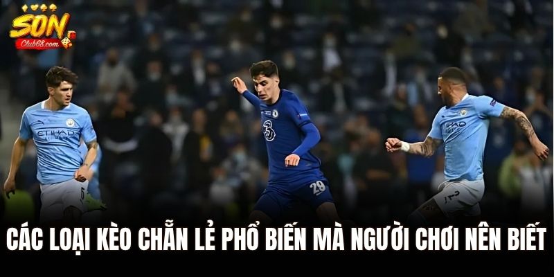 Kèo Chẵn Lẻ - Lối Chơi Đơn Giản, Dễ Trúng Trong Cá Cược Bóng đá 2 Các loại kèo chẵn lẻ phổ biến mà người chơi nên biết