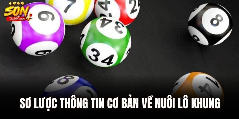 Nuôi Lô Khung - Bật Mí Các Mẹo Bất Bại Từ Chuyên Gia 1 Sơ lược thông tin cơ bản về nuôi lô khung