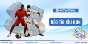 Kèo tài xỉu run